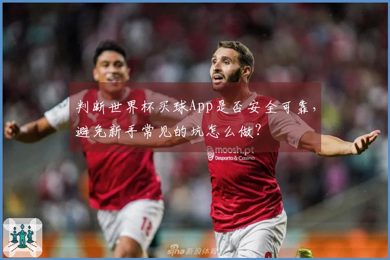 判断世界杯买球App是否安全可靠，避免新手常见的坑怎么做？