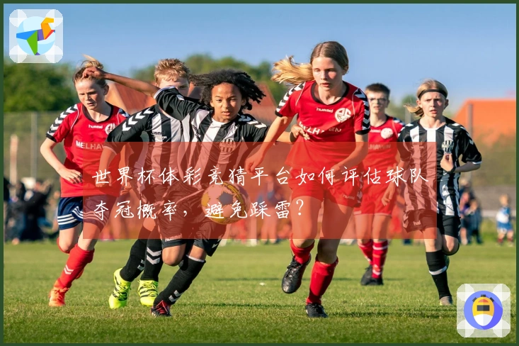 世界杯体彩竞猜平台如何评估球队夺冠概率，避免踩雷？