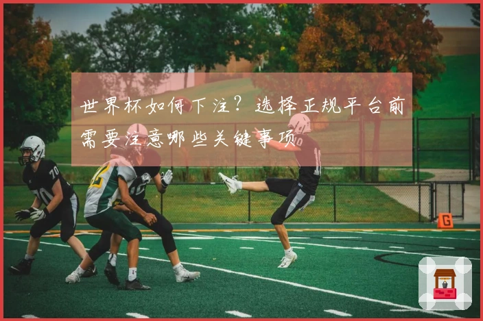 世界杯如何下注？选择正规平台前需要注意哪些关键事项