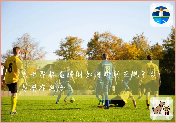 买世界杯竞猜时如何辨别正规平台与潜在风险