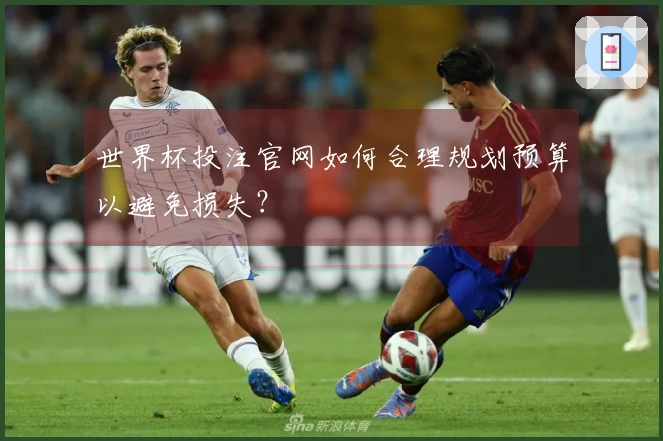 世界杯投注官网如何合理规划预算以避免损失？