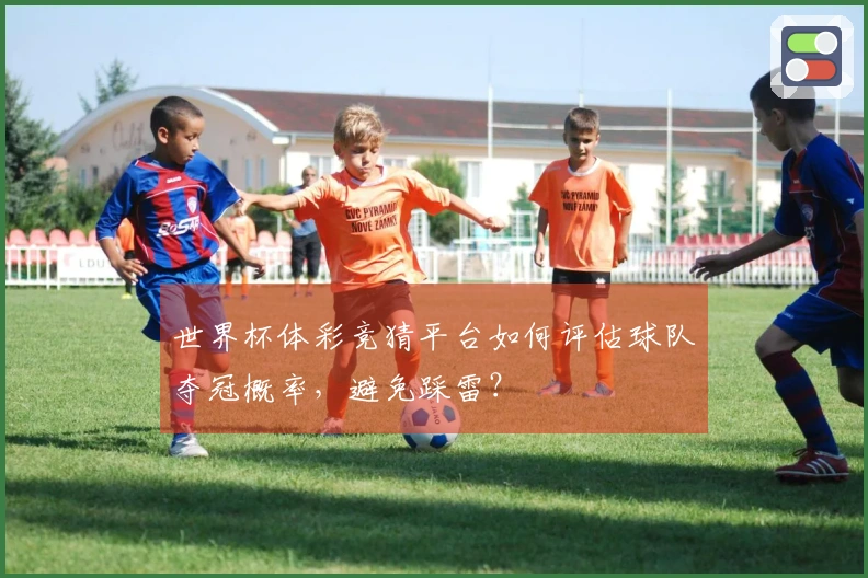世界杯体彩竞猜平台如何评估球队夺冠概率，避免踩雷？