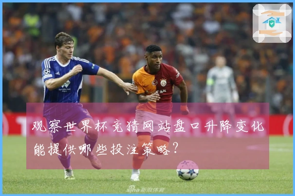 观察世界杯竞猜网站盘口升降变化能提供哪些投注策略？