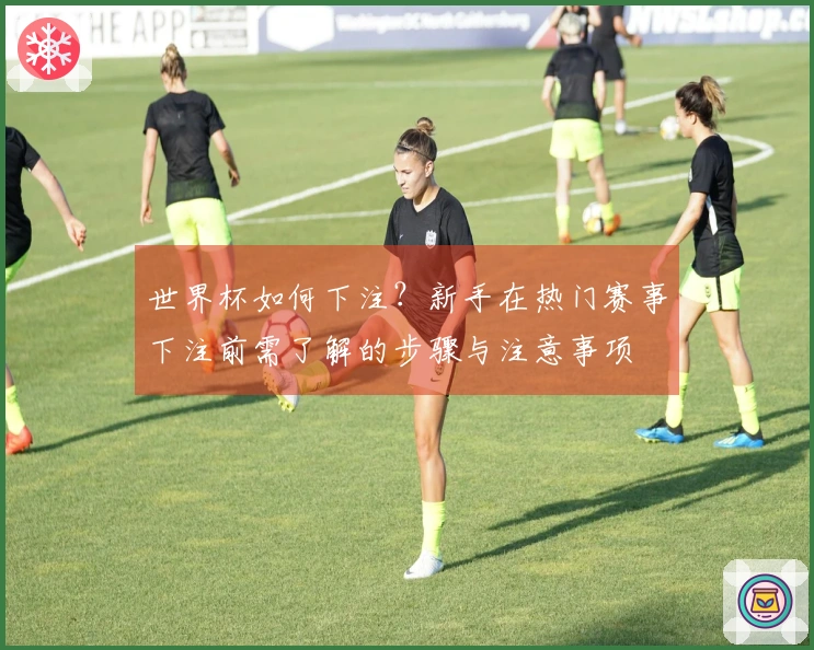 世界杯如何下注？新手在热门赛事下注前需了解的步骤与注意事项