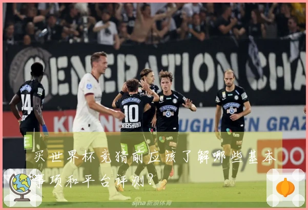 买世界杯竞猜前应该了解哪些基本事项和平台评测？