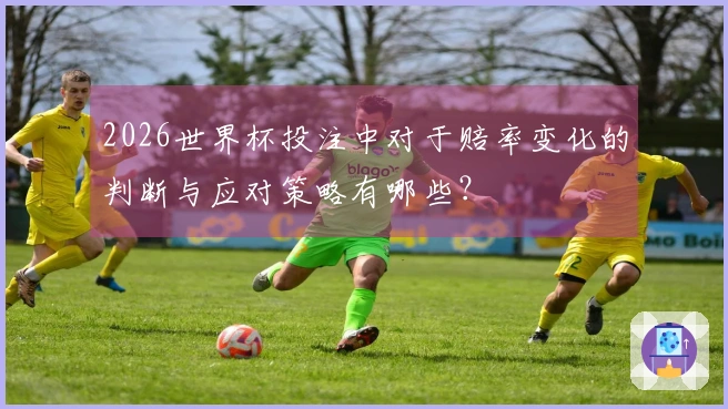 2026世界杯投注中对于赔率变化的判断与应对策略有哪些？