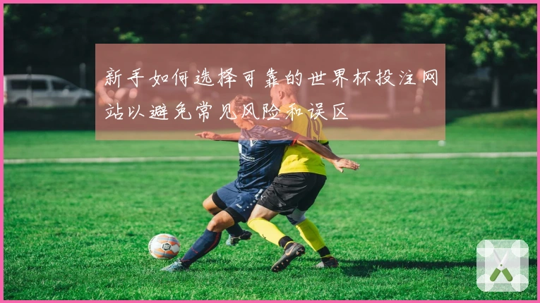 新手如何选择可靠的世界杯投注网站以避免常见风险和误区