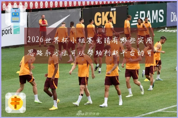 2026世界杯小组赛竞猜有哪些实用思路和方法可以帮助判断平台的可靠性