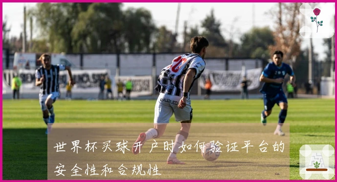世界杯买球开户时如何验证平台的安全性和合规性