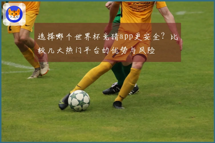 选择哪个世界杯竞猜app更安全？比较几大热门平台的优势与风险