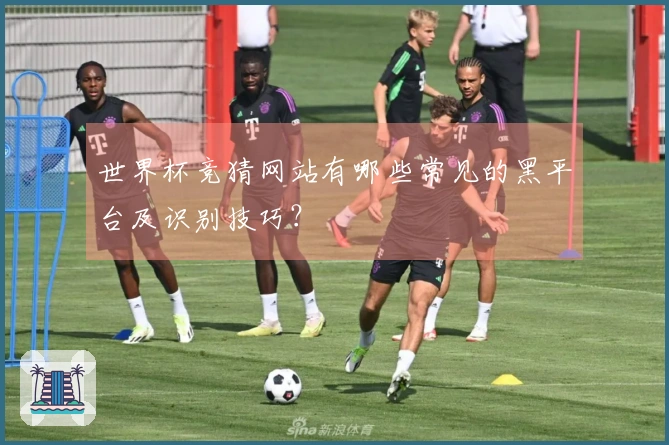 世界杯竞猜网站有哪些常见的黑平台及识别技巧？