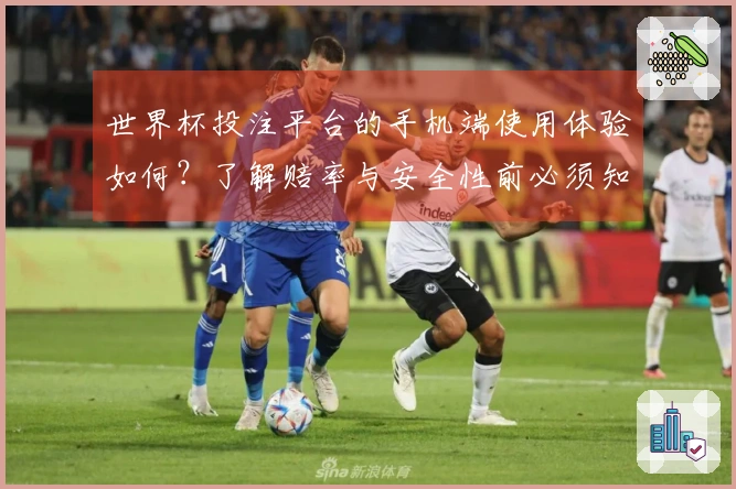 世界杯投注平台的手机端使用体验如何？了解赔率与安全性前必须知道的事项