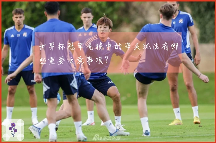 世界杯冠军竞猜中的串关玩法有哪些重要注意事项？