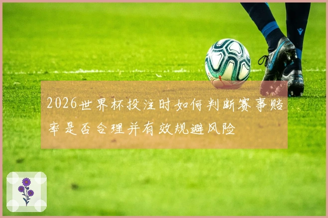 2026世界杯投注时如何判断赛事赔率是否合理并有效规避风险