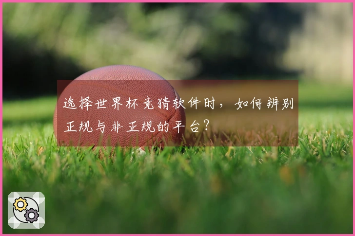选择世界杯竞猜软件时，如何辨别正规与非正规的平台？