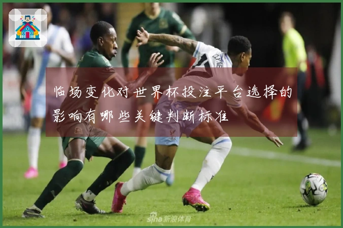 临场变化对世界杯投注平台选择的影响有哪些关键判断标准