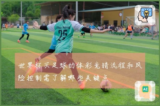 世界杯买足球的体彩竞猜流程和风险控制需了解哪些关键点