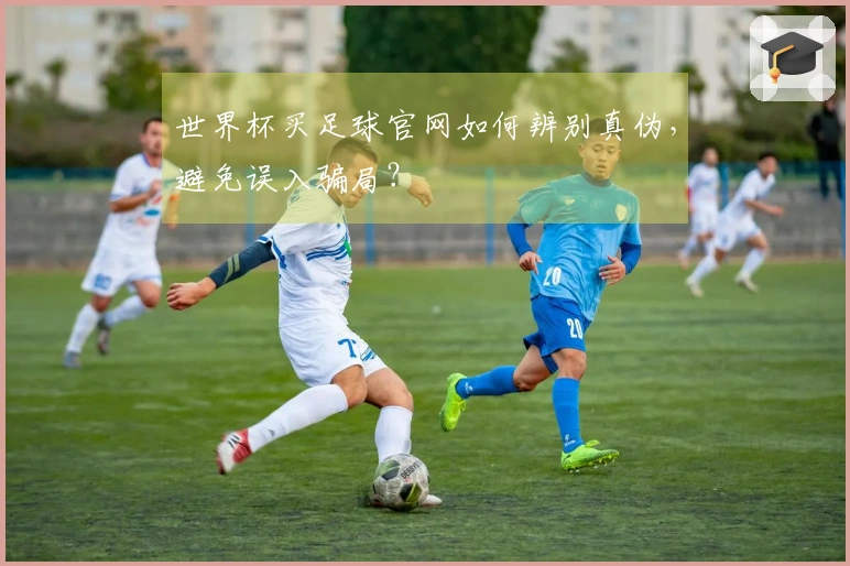 世界杯买足球官网如何辨别真伪，避免误入骗局？