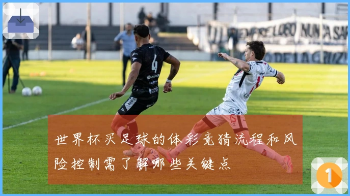 世界杯买足球的体彩竞猜流程和风险控制需了解哪些关键点