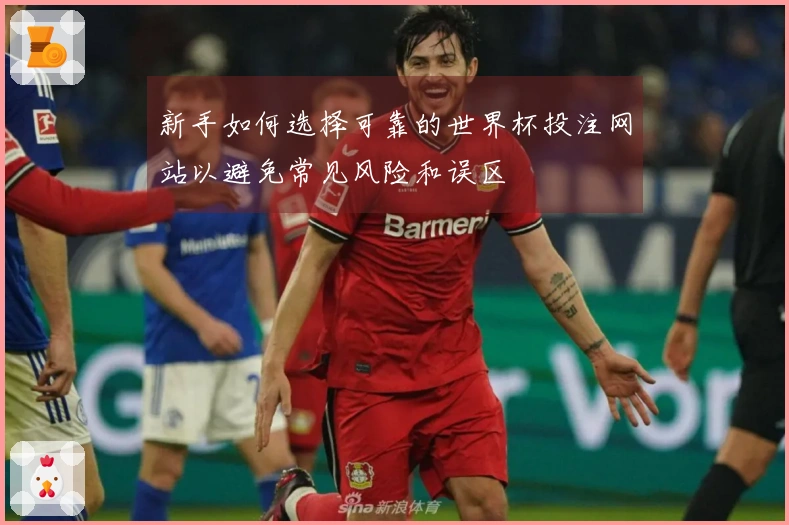 新手如何选择可靠的世界杯投注网站以避免常见风险和误区