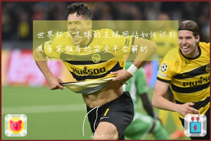 世界杯买足球的正规网站如何识别及专家推荐的安全平台解析